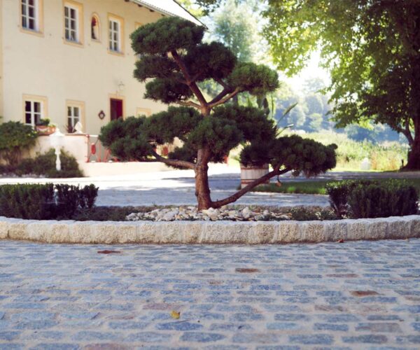 slider_3